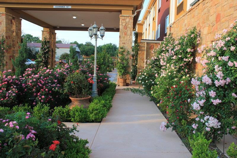 Blanco River Hotel Экстерьер фото