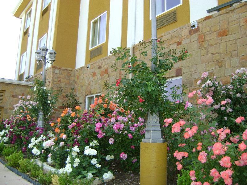 Blanco River Hotel Экстерьер фото